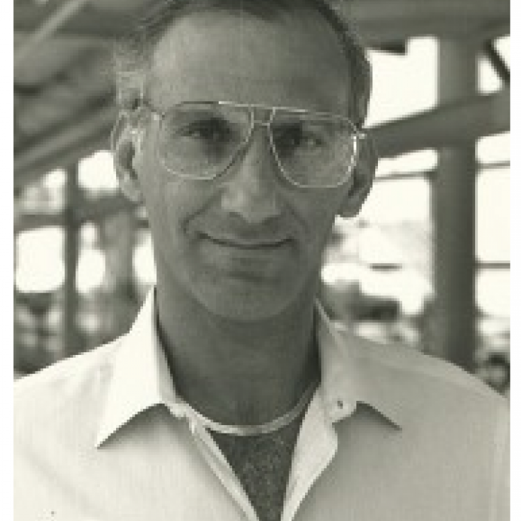 Norman P Lieberman